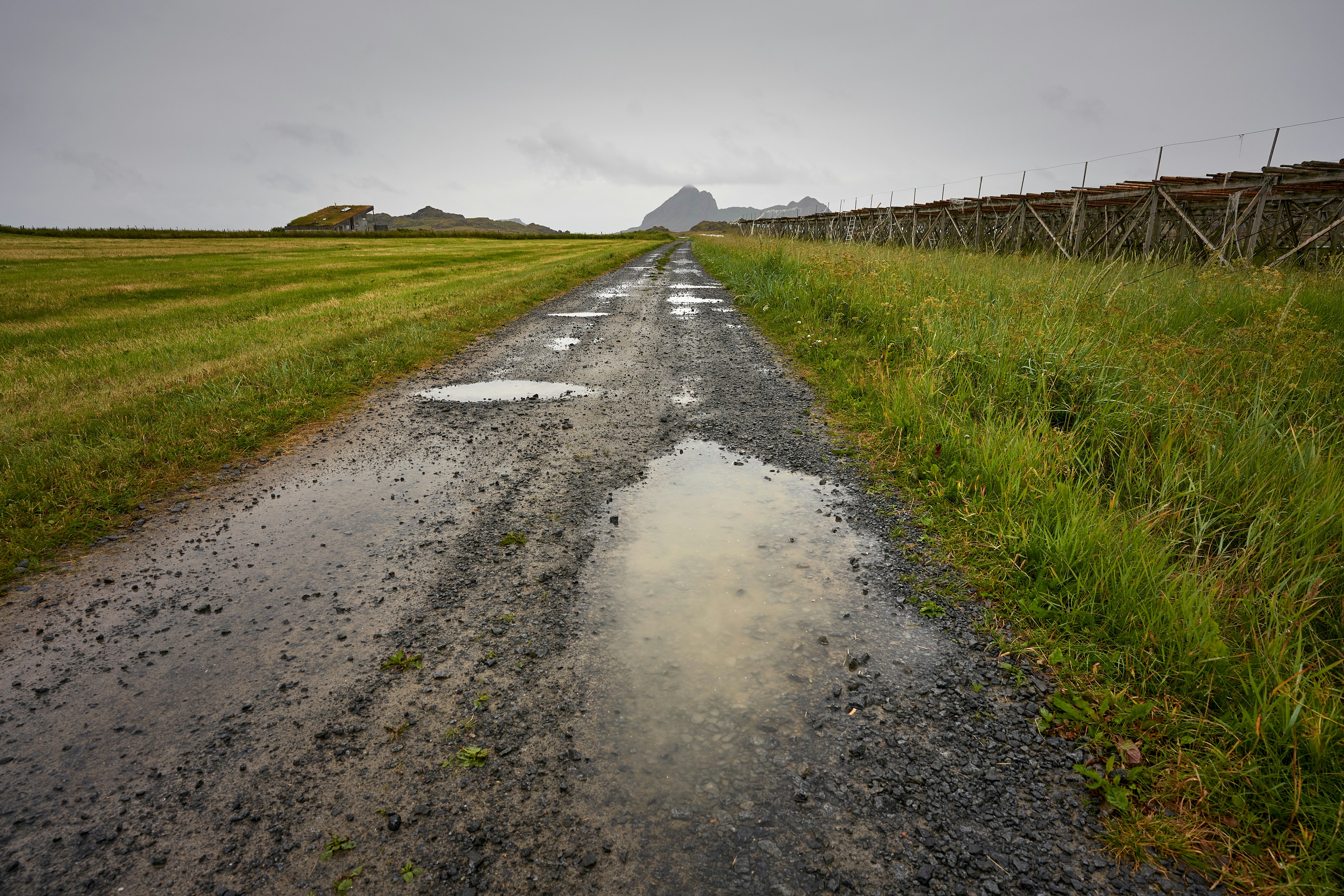 gray dirt road between green grass field under gray sky during daytime